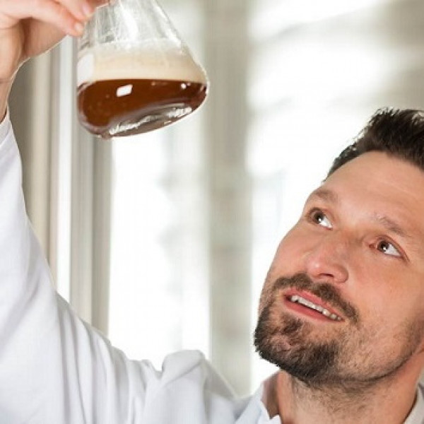 Por qué la cerveza artesana está de moda Por qué la cerveza artesana está de moda